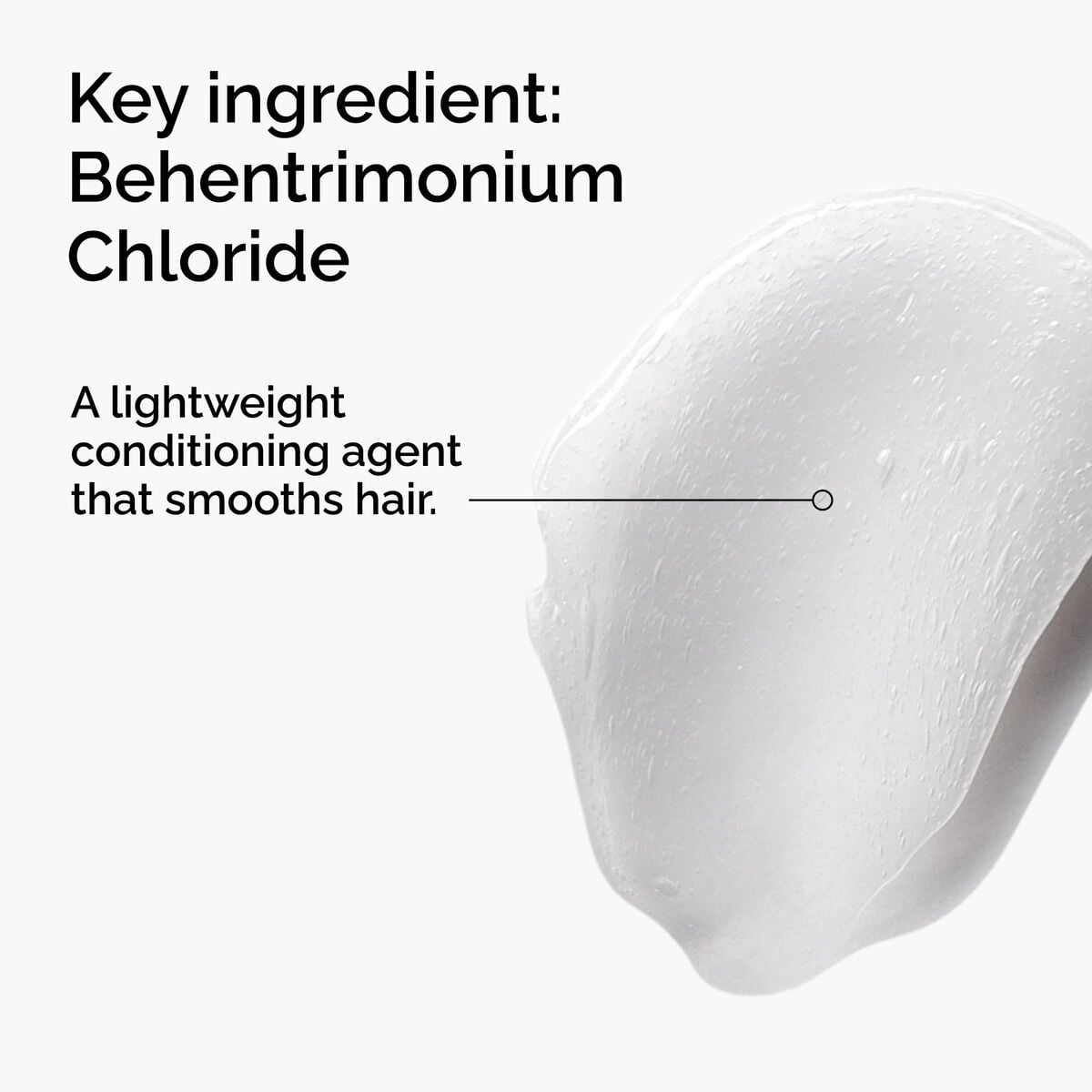 behentrimonium-chloride-2-conditioner-k8 FY25-D41247-ORD-Web-PDP-BTC-1x1-EN-2a.jpg