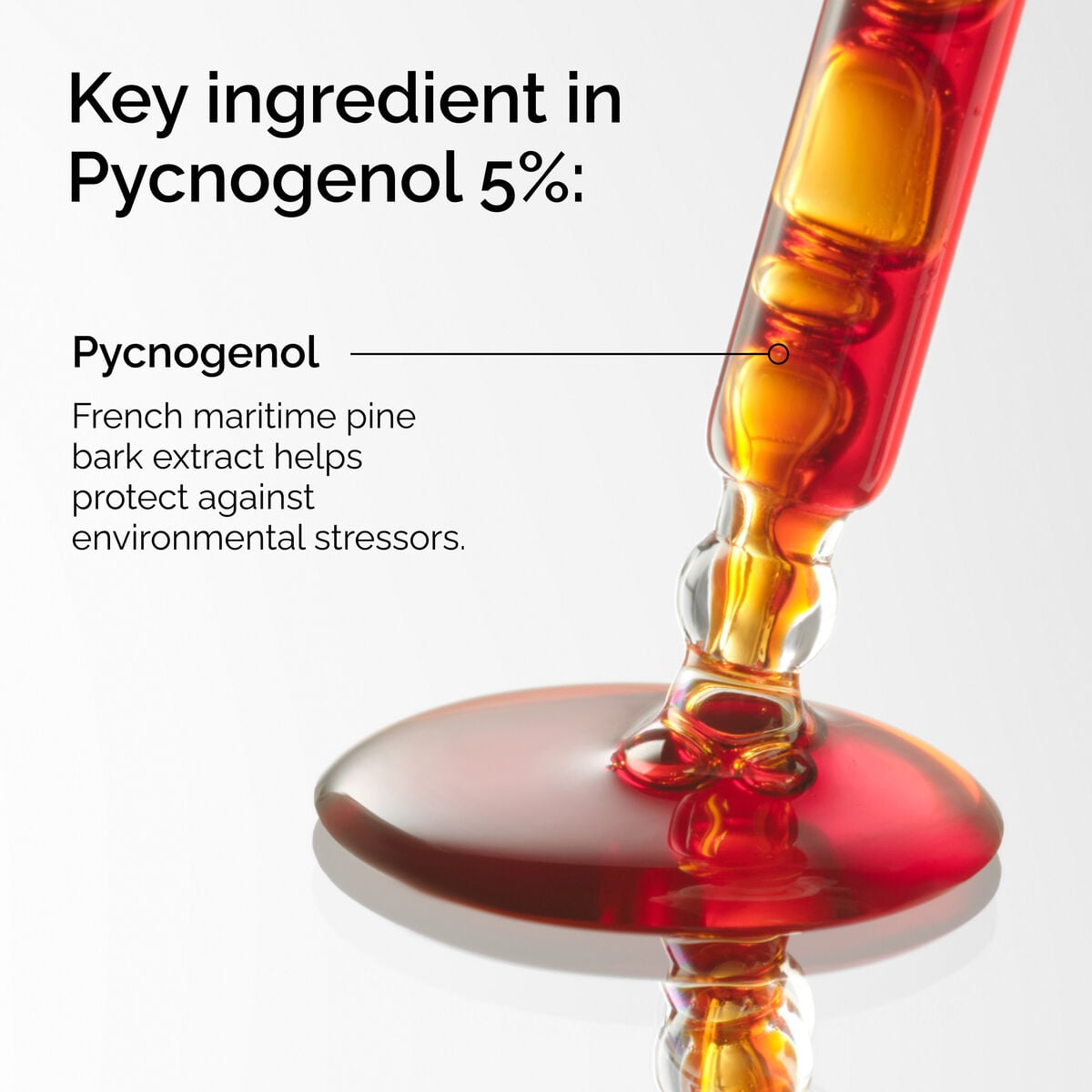 pycnogenol-5-k0 FY25-D41247-ORD-Web-PDP-Pyc-5pct-1x1-EN-2a.jpg