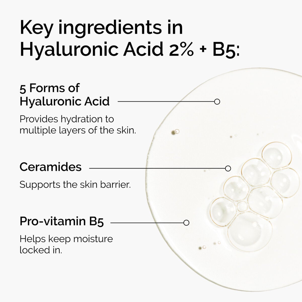 hyaluronic-acid-2-b5-with-ceramides-o2 ord-hyaluronic-acid-2pct-b5-hydrating-serum-ingredients-graphic.jpg