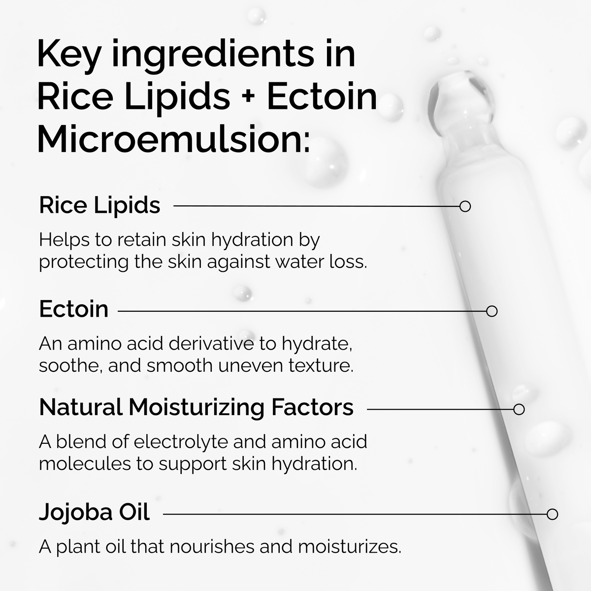 rice-lipids-ectoin-microemulsion-o5 ord-rice-lipids-ectoin-microemulsion-key-ingredients.png