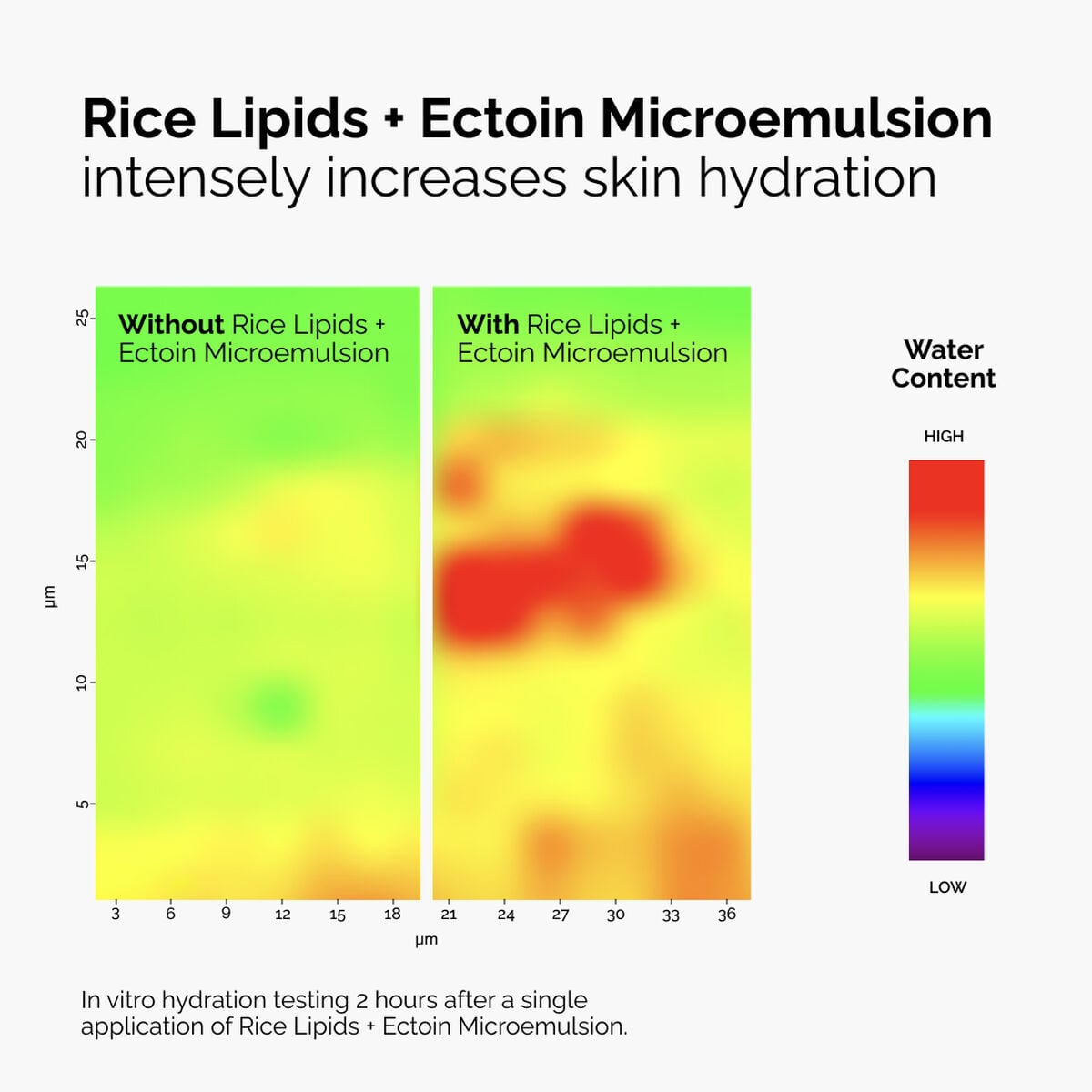 rice-lipids-ectoin-microemulsion-o5 ord-rice-lipids-ectoin-microemulsion-thermal-before-after.jpg